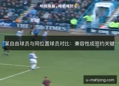 某自由球员与同位置球员对比：兼容性成签约关键